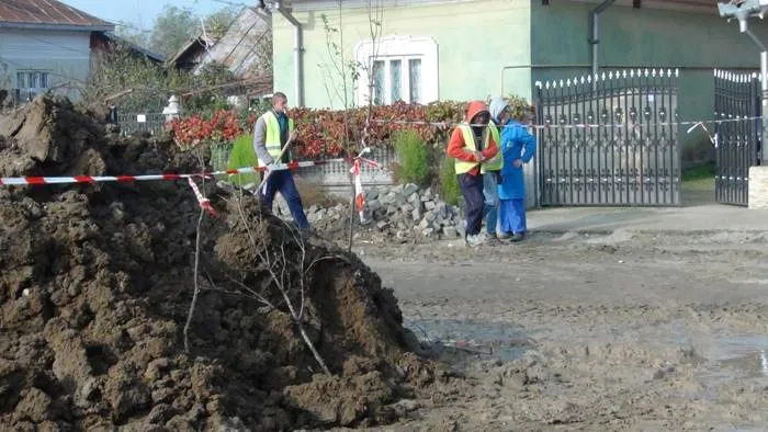 Foto «Mihai Eminescu», în mocirlă