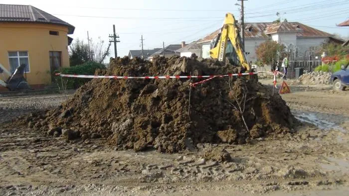 Foto «Mihai Eminescu», în mocirlă