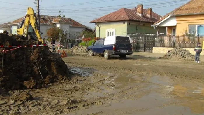 Foto «Mihai Eminescu», în mocirlă