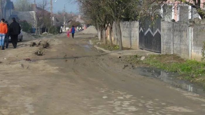Foto «Mihai Eminescu», în mocirlă