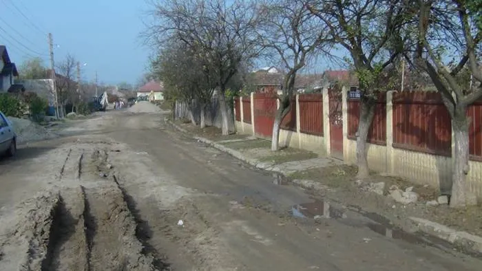 Foto «Mihai Eminescu», în mocirlă