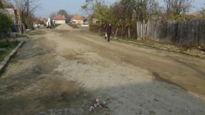Foto «Mihai Eminescu», în mocirlă