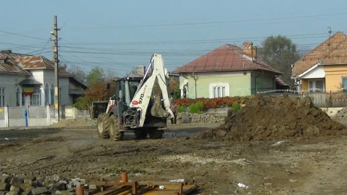 Foto «Mihai Eminescu», în mocirlă