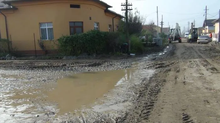 Foto «Mihai Eminescu», în mocirlă