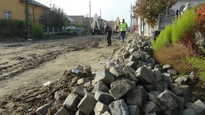 Foto «Mihai Eminescu», în mocirlă