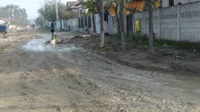 Foto «Mihai Eminescu», în mocirlă