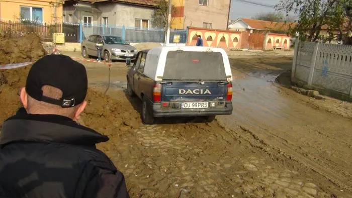 Foto «Mihai Eminescu», în mocirlă