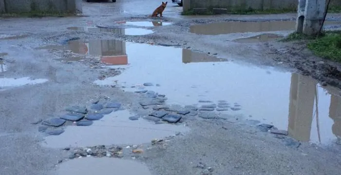 Foto Sfârşit de an: Peste doi ani şi jumătate de mandat, rezultate aproape ZERO