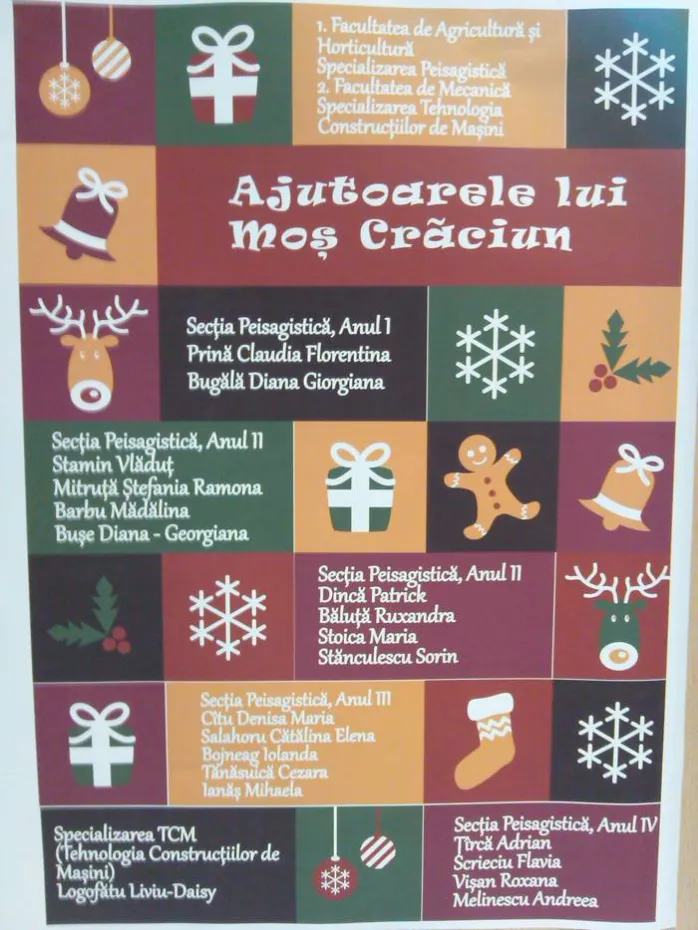Foto Târg de Crăciun în scop umanitar