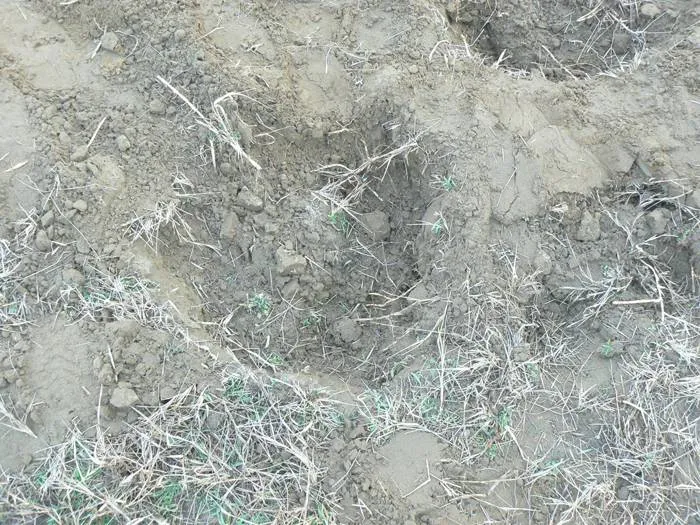 Foto Descoperire arheologică de excepţie