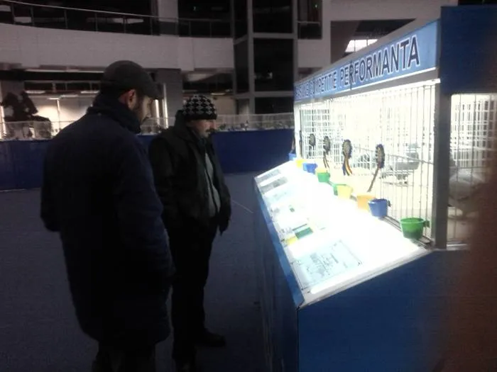 Foto Peste 380 de păsări, la Centrul Multifuncţional
