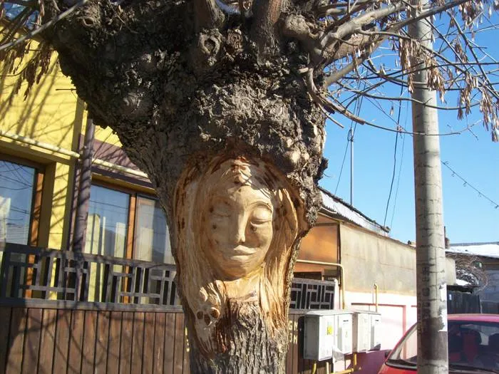 Foto Galerie de artă în plină stradă