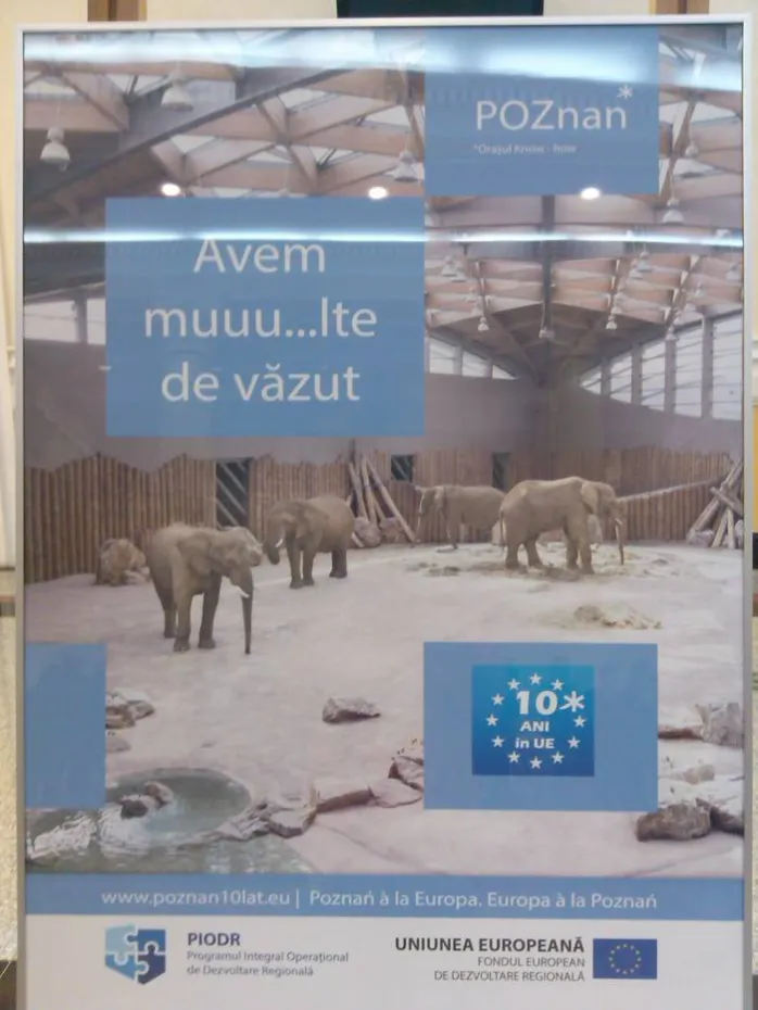 Foto Un an de la înfiinţarea Centrului de Limbă şi Cultură Poloneză