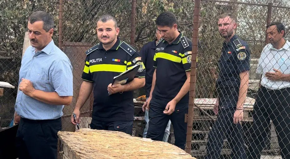Foto GORJ: Adăpost pentru câini, găsit fără autorizație sanitar-veterinară 