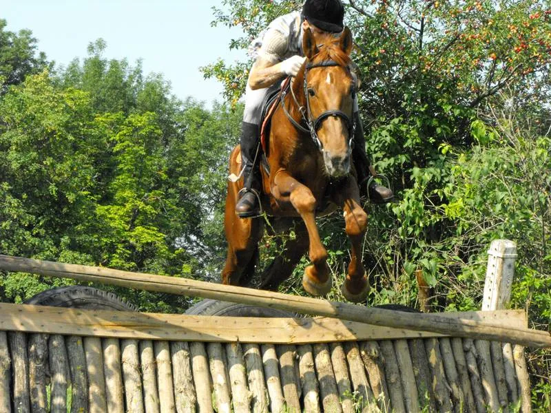 Foto Hipodromul din Craiova, «născut» a doua oară