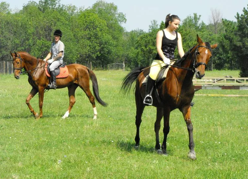 Foto Hipodromul din Craiova, «născut» a doua oară