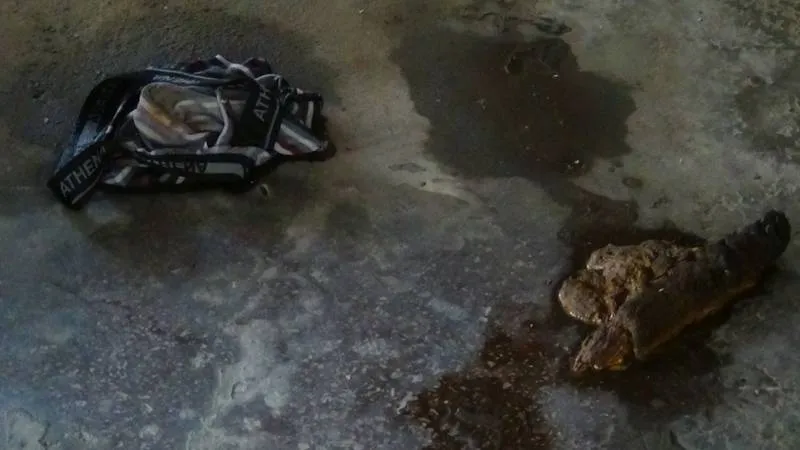 Foto În centrul Craiovei, excremente umane ca într-un WC de gară