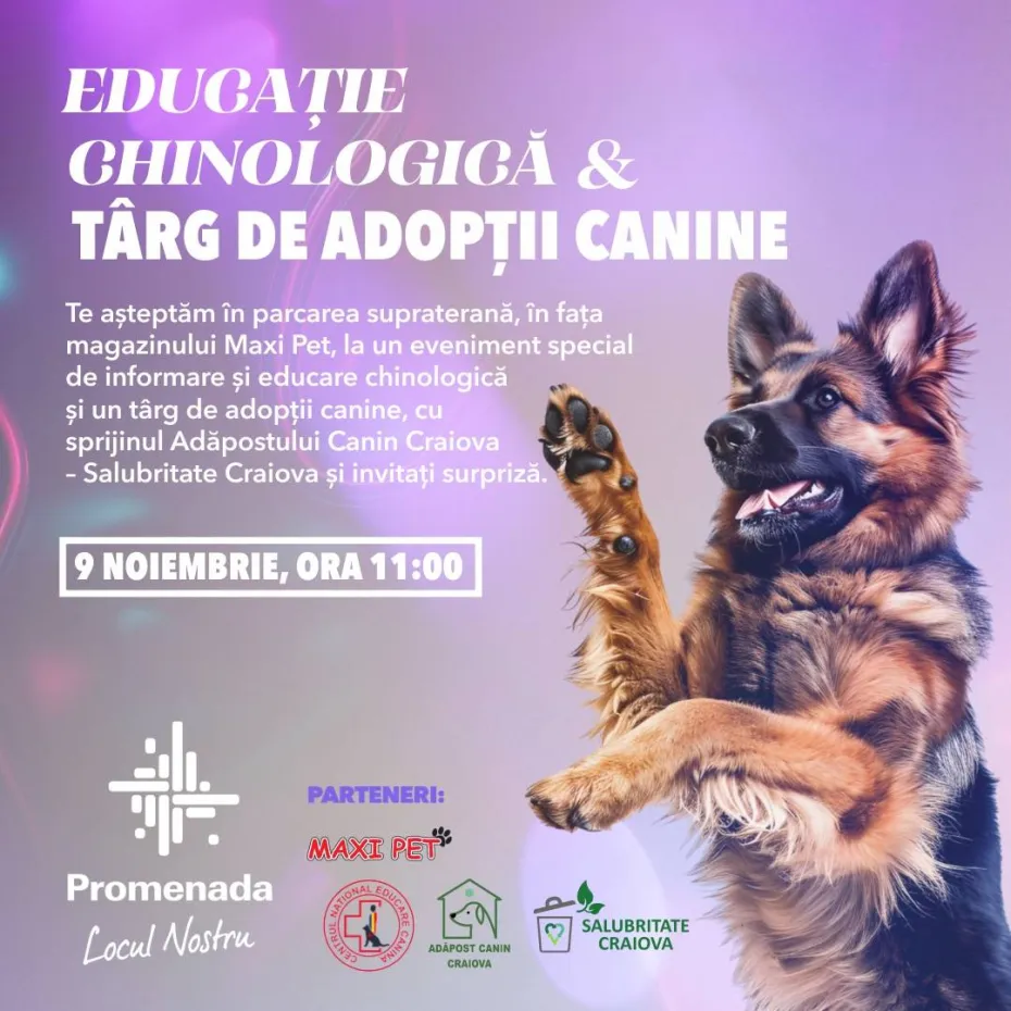 Foto Adopții canine la Promenada Mall 