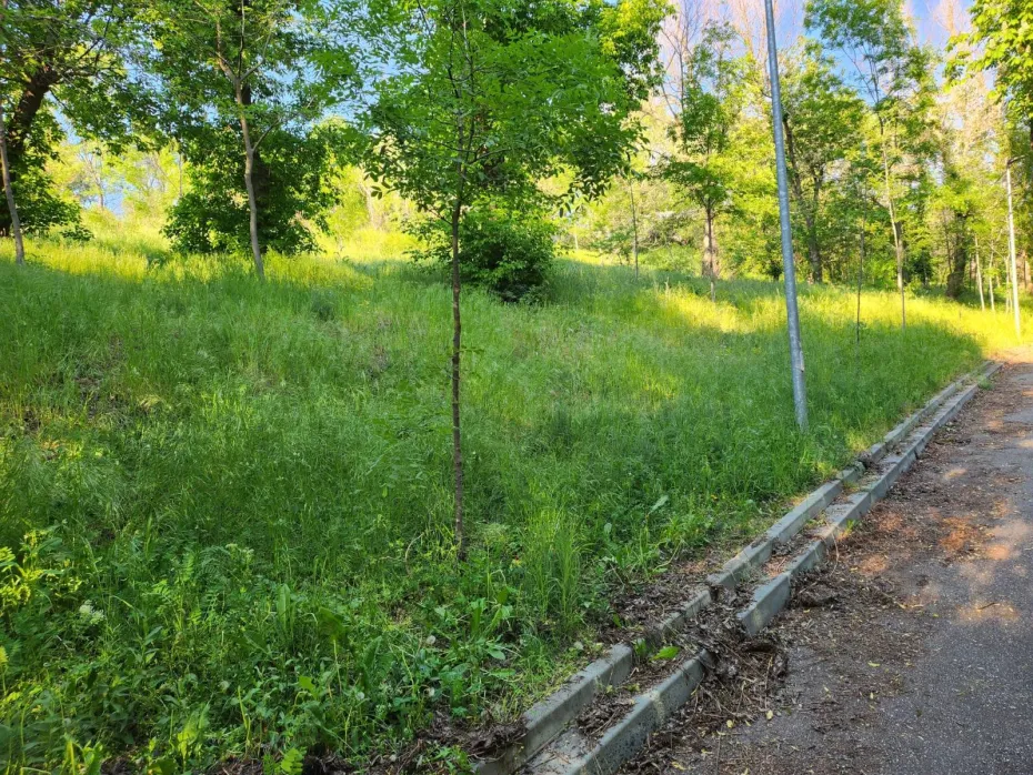 Foto Parcul Hanul Doctorului, un eșec costisitor 