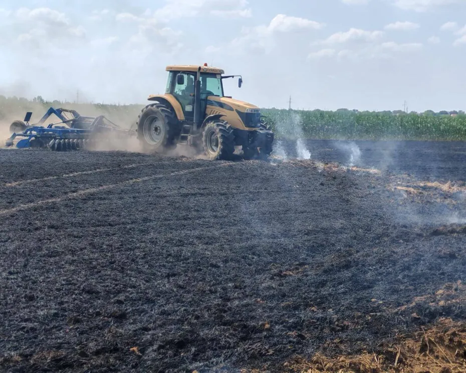 Foto Incendiu puternic la Basarabi: 45 de hectare de grâu distruse