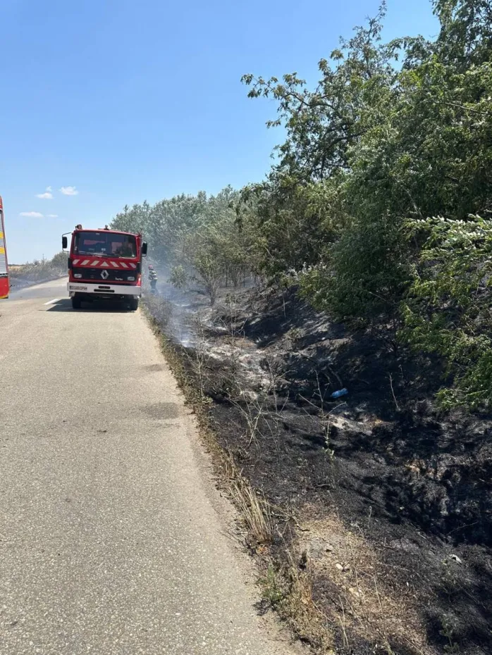 Foto Incendiu de vegetație în localitatea Ciupercenii Vechi