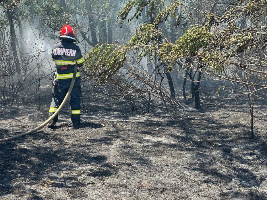 Foto Incendiu de vegetație în localitatea Ciupercenii Vechi