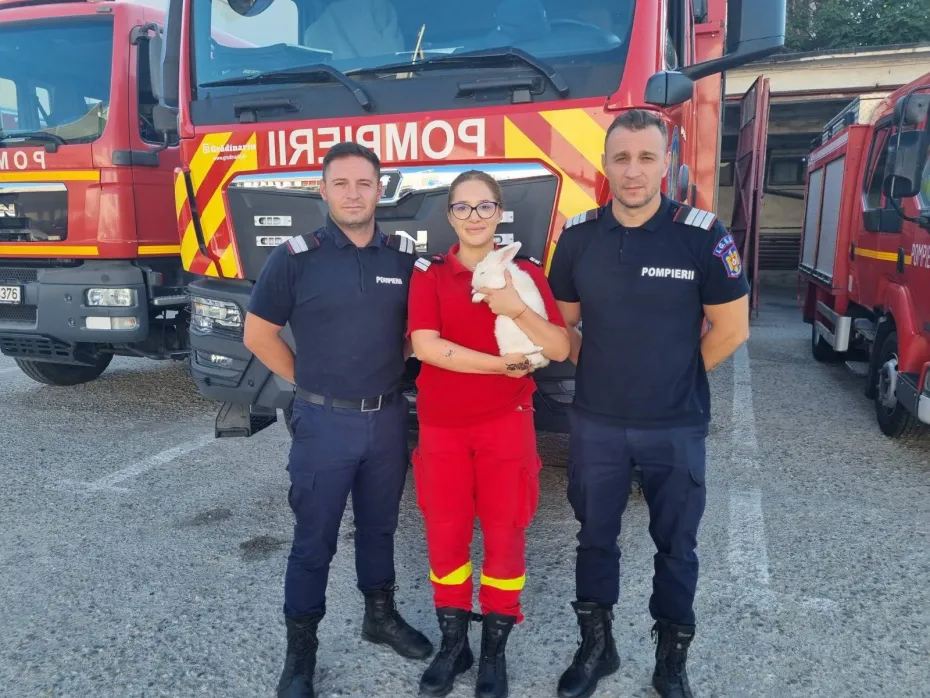Foto CRAIOVA: Iepuraș salvat de pompieri în cartierul Romanești 