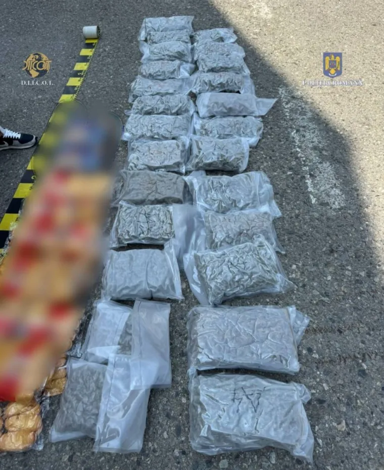 Foto DOLJ: Droguri ascunse printre alimente. 48 kg de canabis trimise din Spania

