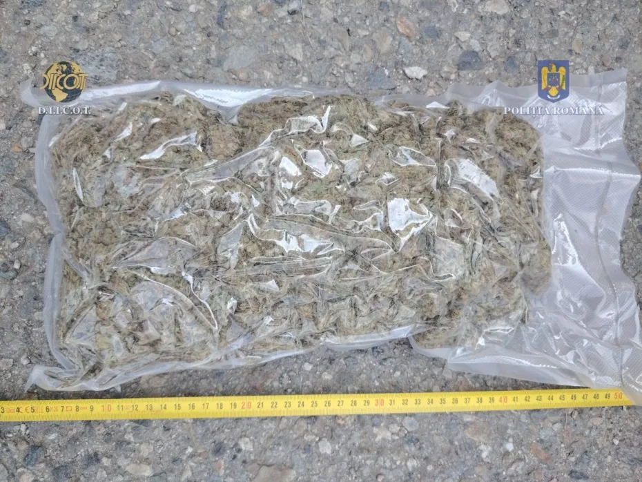 Foto DOLJ: Droguri ascunse printre alimente. 48 kg de canabis trimise din Spania

