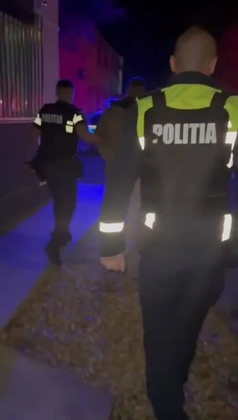 Foto Reținuti după ce au distrus bunuri pe terasa unui magazin din Fărcaș