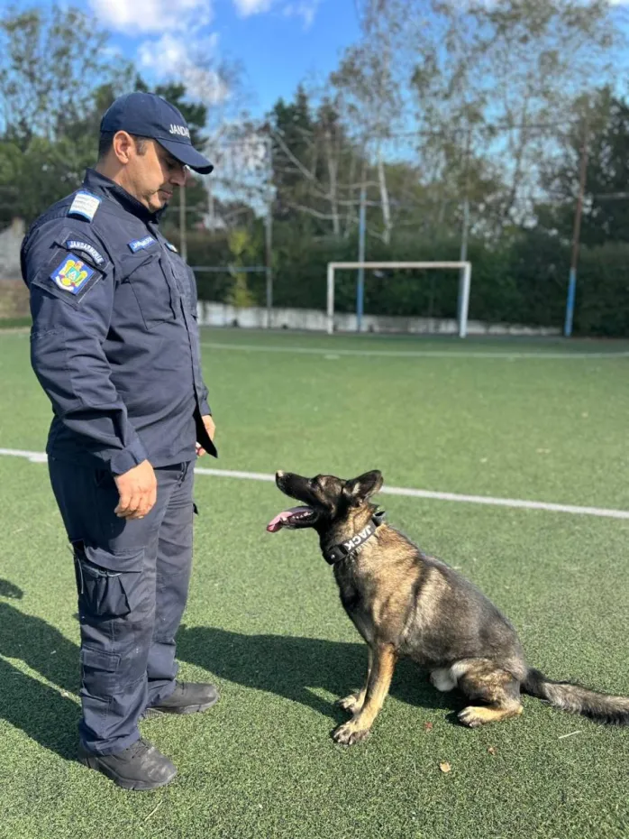 Foto Câinii jandarmilor doljeni, eroii nevăzuți ai misiunilor de zi cu zi