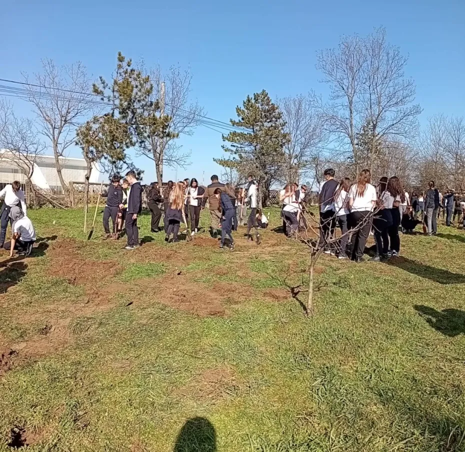 Foto Kiwanis Craiova plantează prima pădure urbană dedicată polenizatorilor