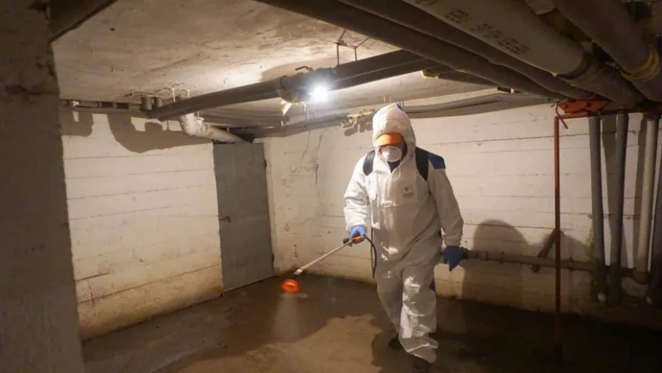 Foto Calafat, printre orașele dezinfectate