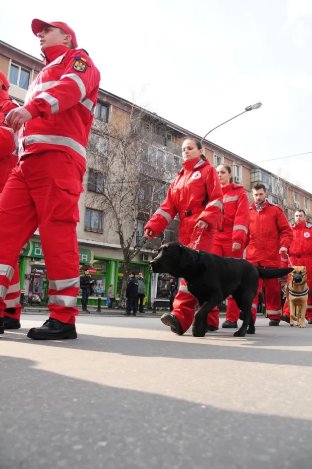 Foto Defilări în centrul Craiovei