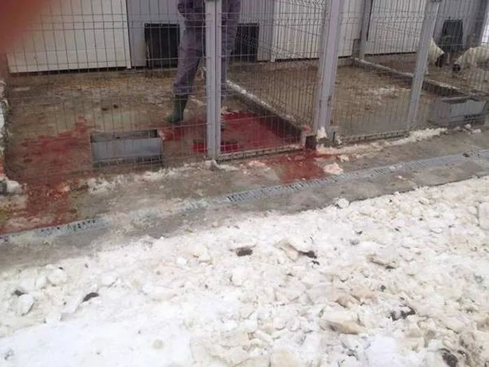 Foto Mai minţiţi mult?