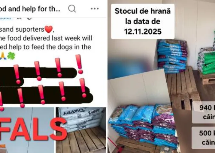Foot Nu vă lăsați păcăliți! Adăpostul canin Craiova dezminte solicitările false de donații