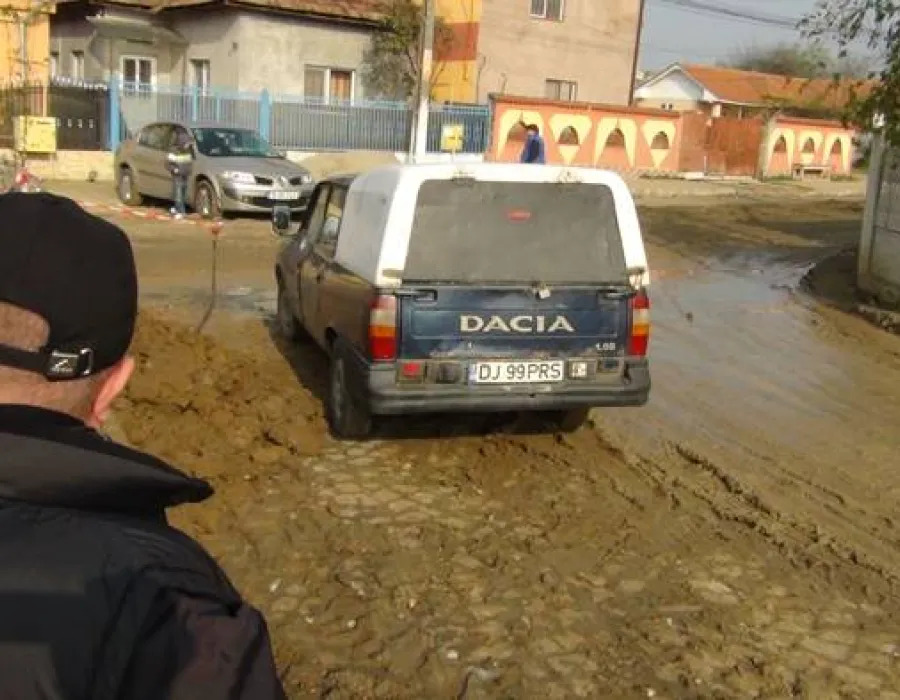 Foto «Mihai Eminescu», în mocirlă