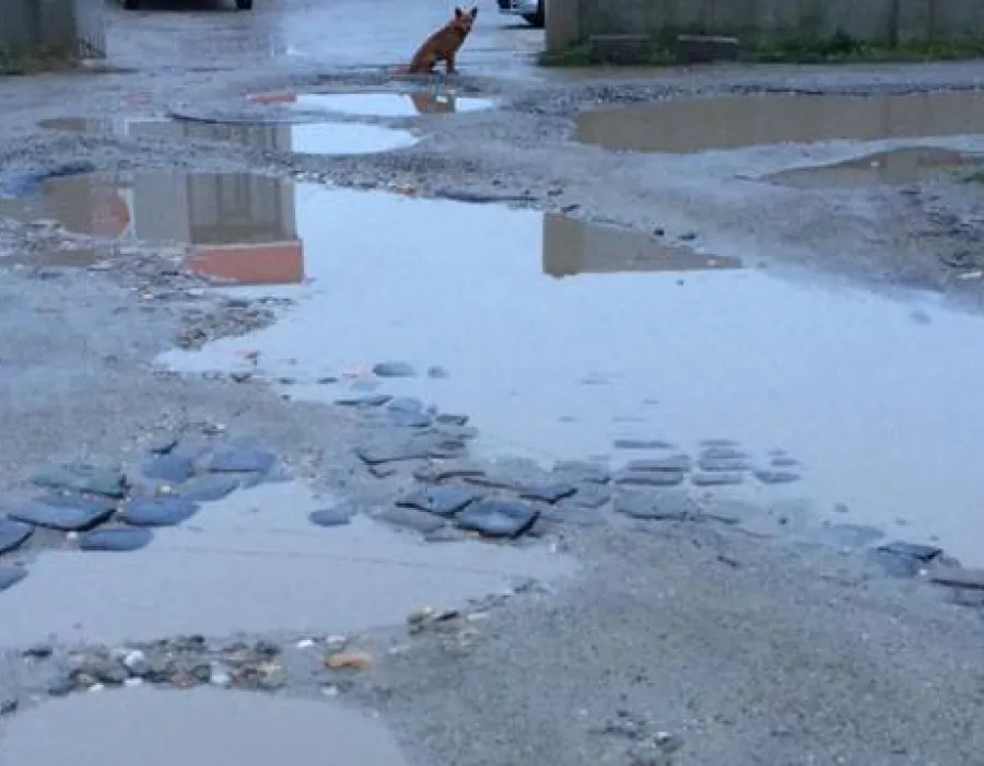 Foto Sfârşit de an: Peste doi ani şi jumătate de mandat, rezultate aproape ZERO