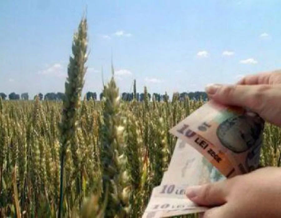 Foto Se dau toţi banii pe suprafaţă, de la APIA