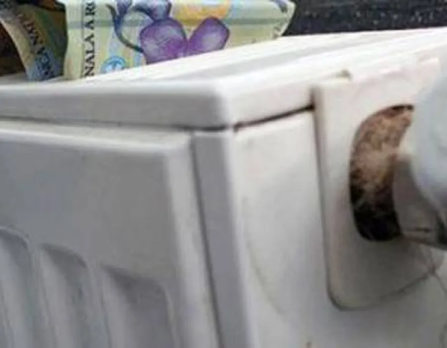 Foto Preţul gigacaloriei nu va creşte la Craiova