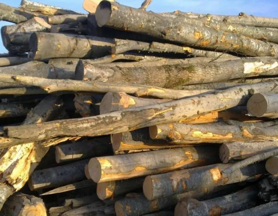 Foto Transport ilegal de lemn în Gorj. Poliția a intervenit la domiciliu