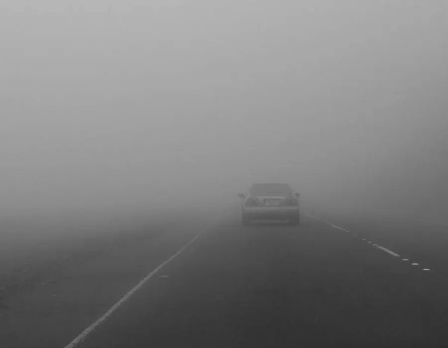 Foto Cod galben de ceaţă în Vâlcea