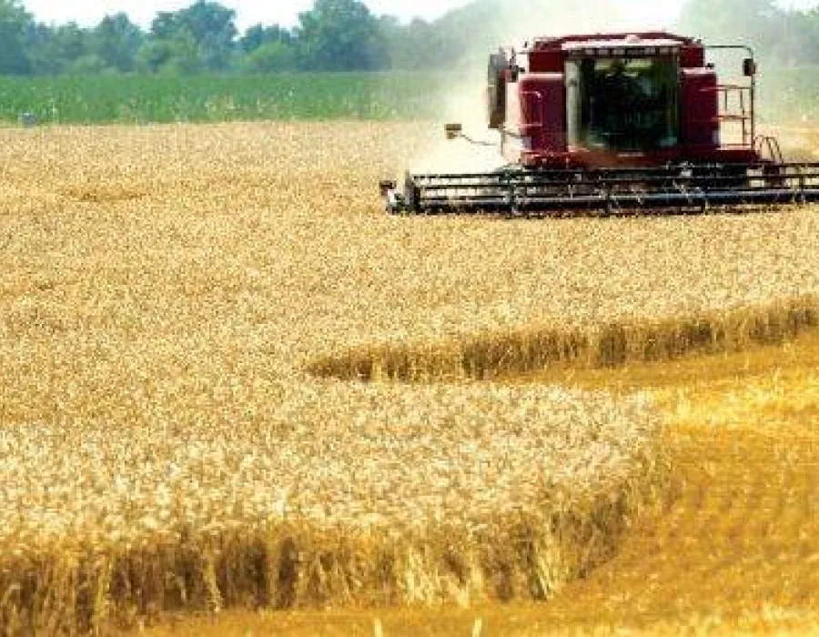 Foto APIA a efectuat, într-o lună, plăţi de 3,5 miliarde lei