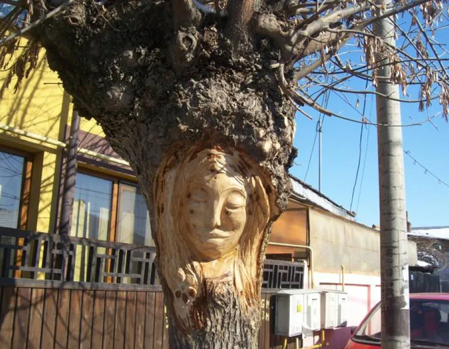 Foto Galerie de artă în plină stradă