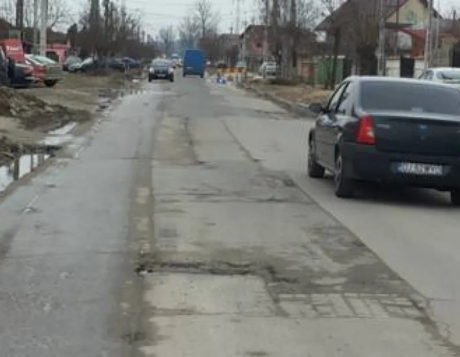 Foto Gropi, bălţi, nămol, nervi