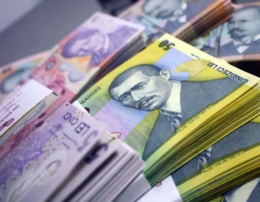 Foto 2 milioane de lei, pentru deşeurile din Vânju Mare