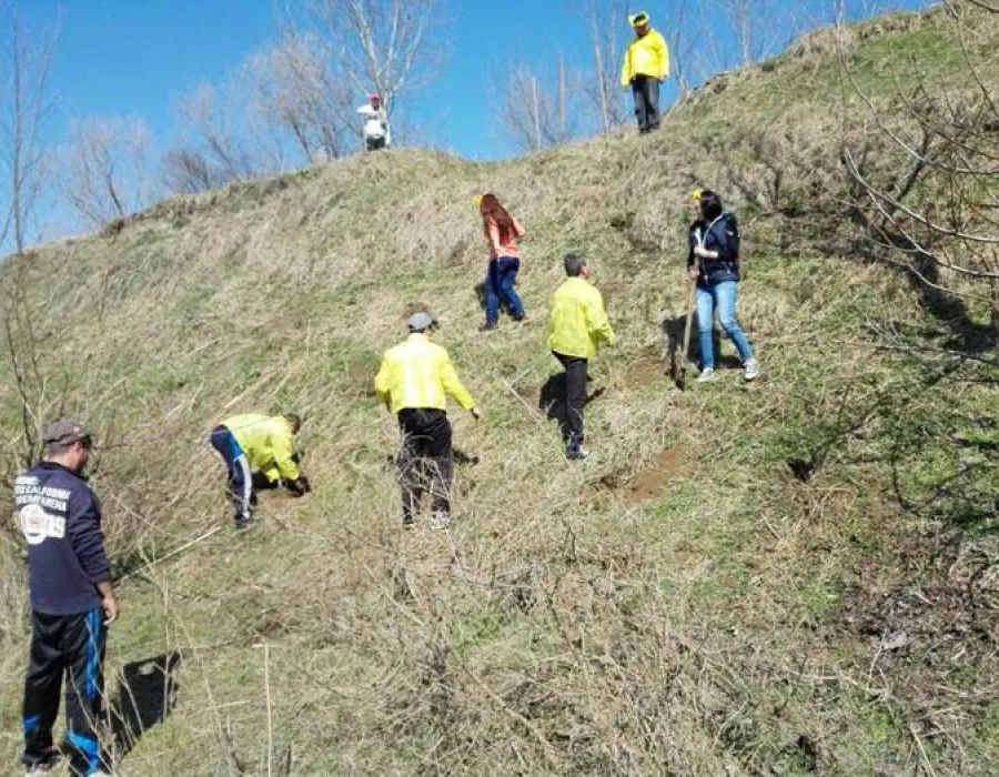 Foto Ziua Internaţională a Pădurii Sărbătorită şi La Olt
