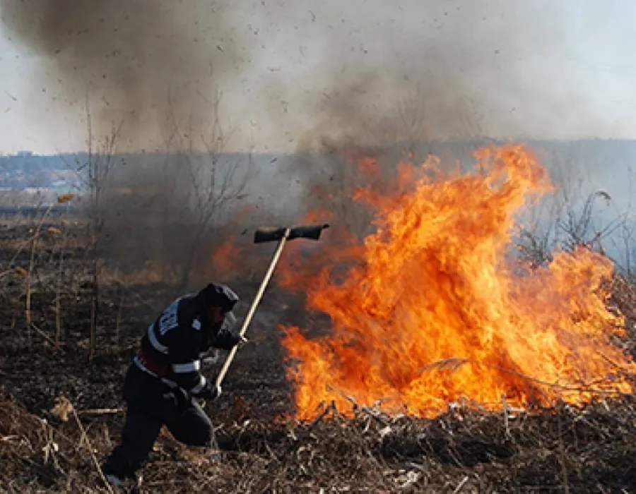 Foto Incendiile de vegetaţie, din nou o problemă