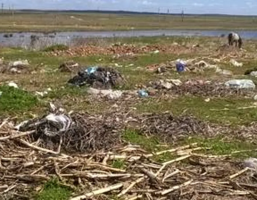 Foto Gunoiul din Dolj, al nimănui