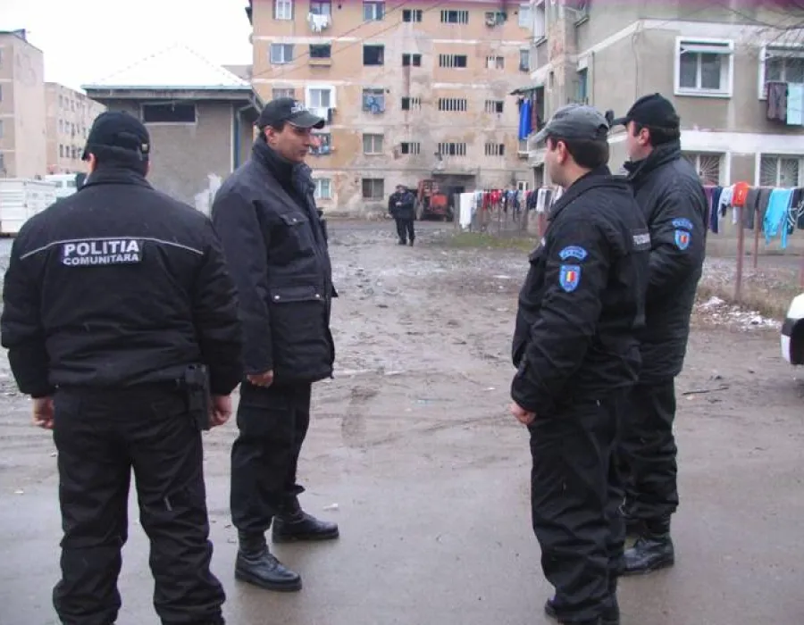 Foto Poliţia Comunitară Severin investighează ruperea unui arbore